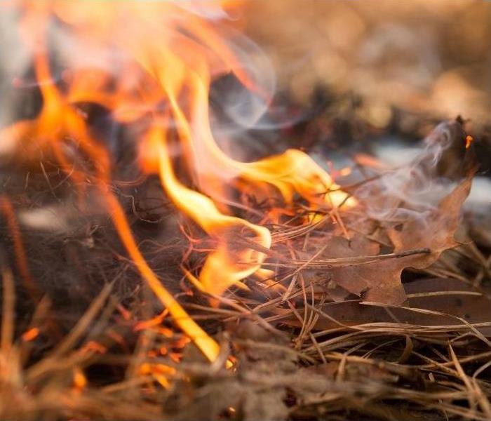 Dried leaves and weeds near homes can cause a house fire