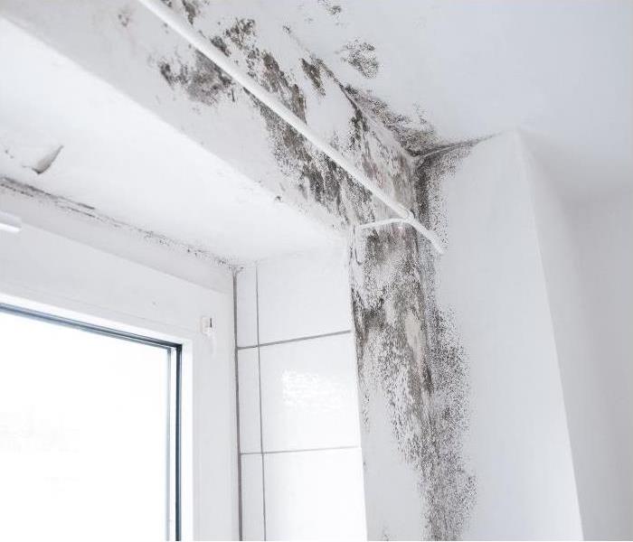 Bathroom mildew caused by ceiling leak humidity