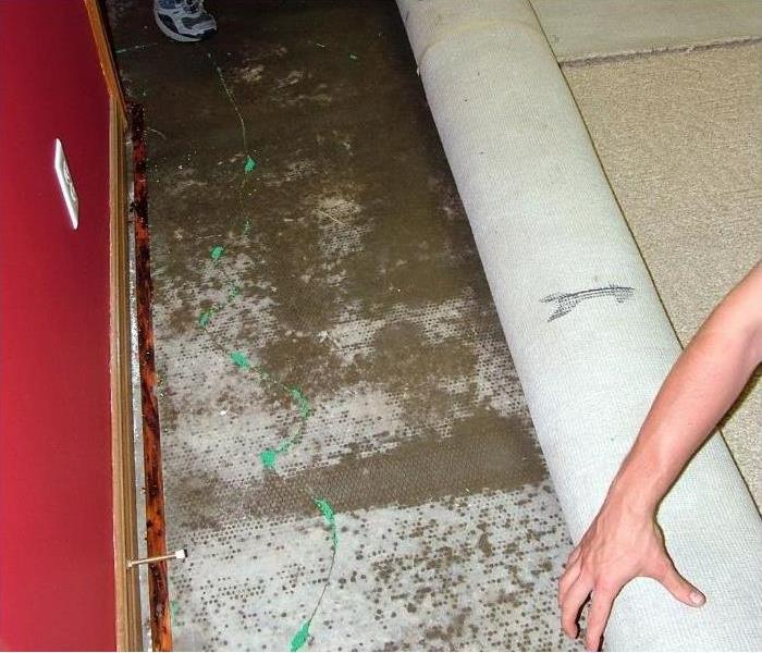 Pulling up carpet after slab leak in Phoenix home